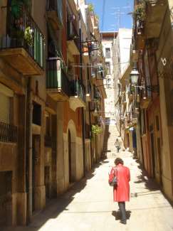 DSC08331.JPG